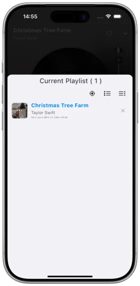 Playback Queue