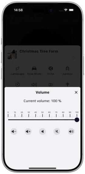 Volume Control